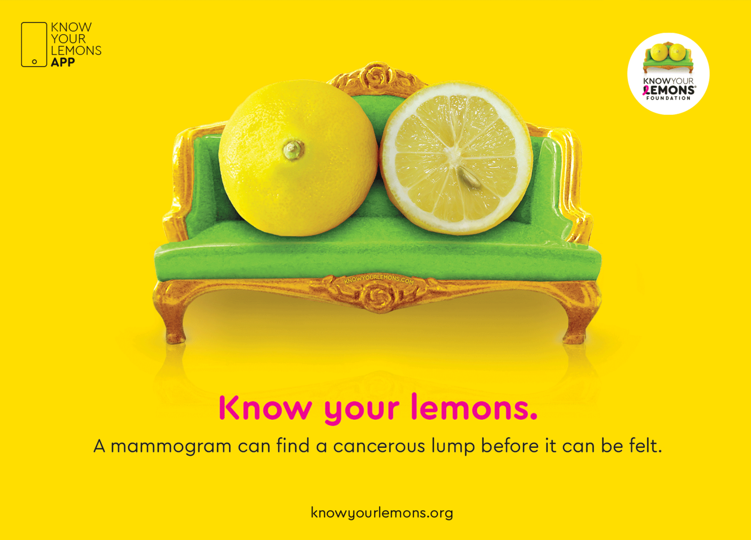 Detection - Know your Lemons